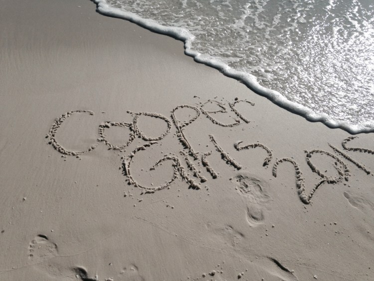 New Year, not necessarily new beginnings (FP, 2015)